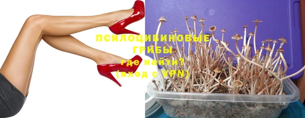 гидропоника Белоозёрский
