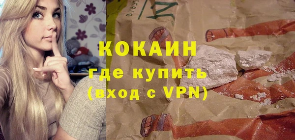 мдпв Богородицк