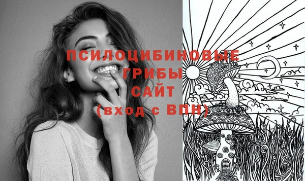 мдпв Богородицк