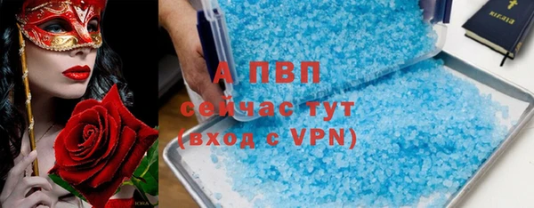 трава Белокуриха
